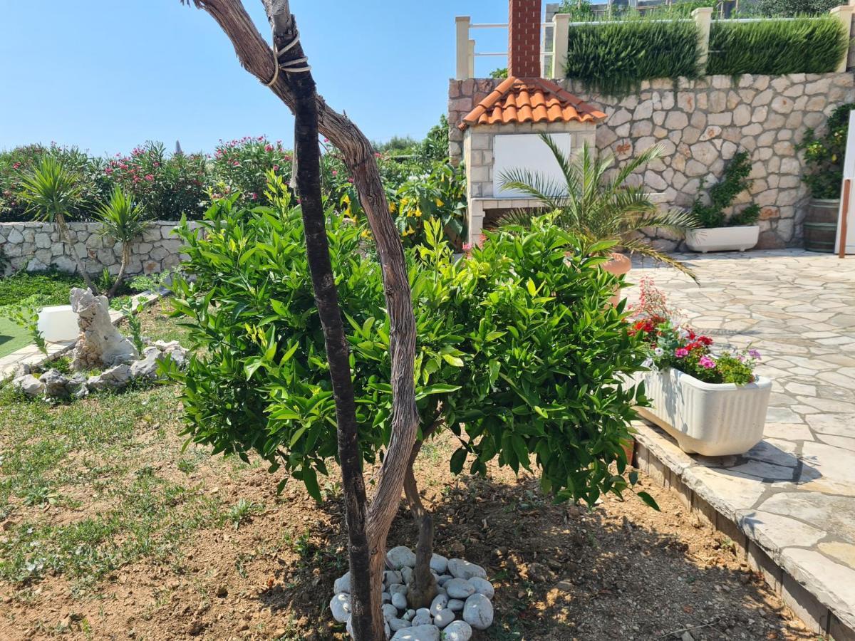 Villa Sea Oasis Ratac Slano Exterior photo
